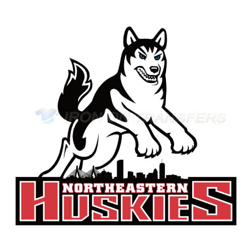 Northeastern Huskies Logo T-shirts Iron On Transfers N5636
